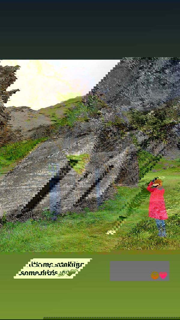 gumihohannya image ~ Altpins