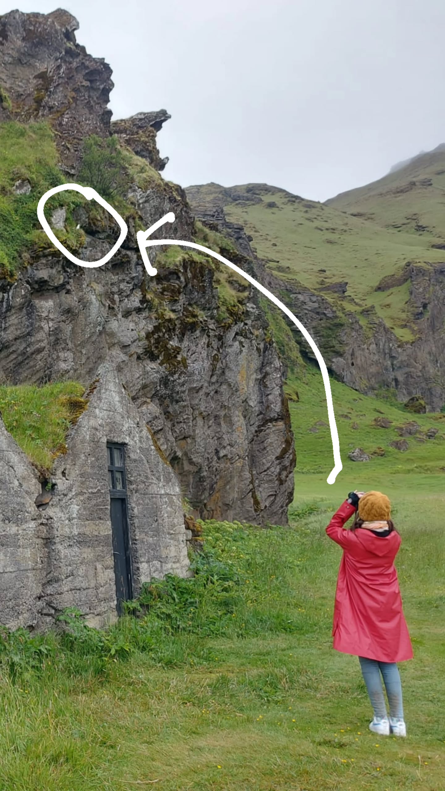 gumihohannya instagram image archive image