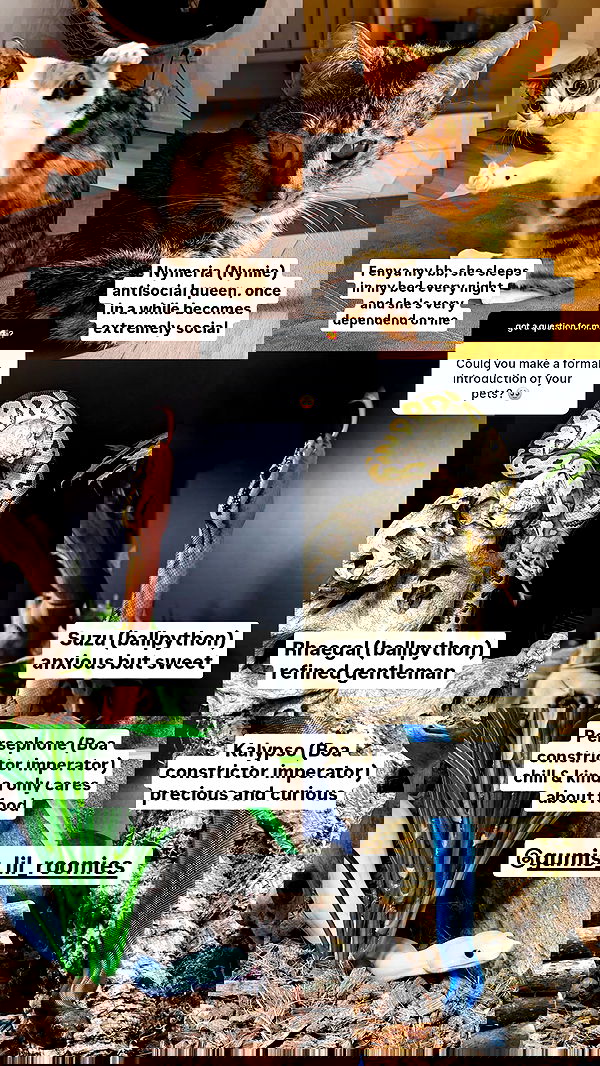 gumihohannya image ~ Altpins