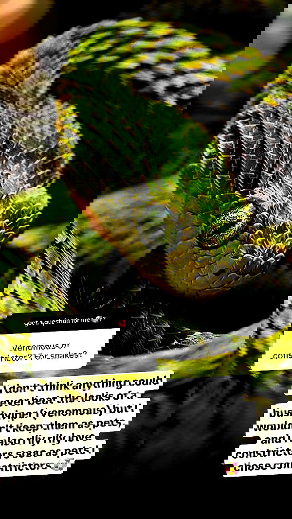 gumihohannya image ~ Altpins