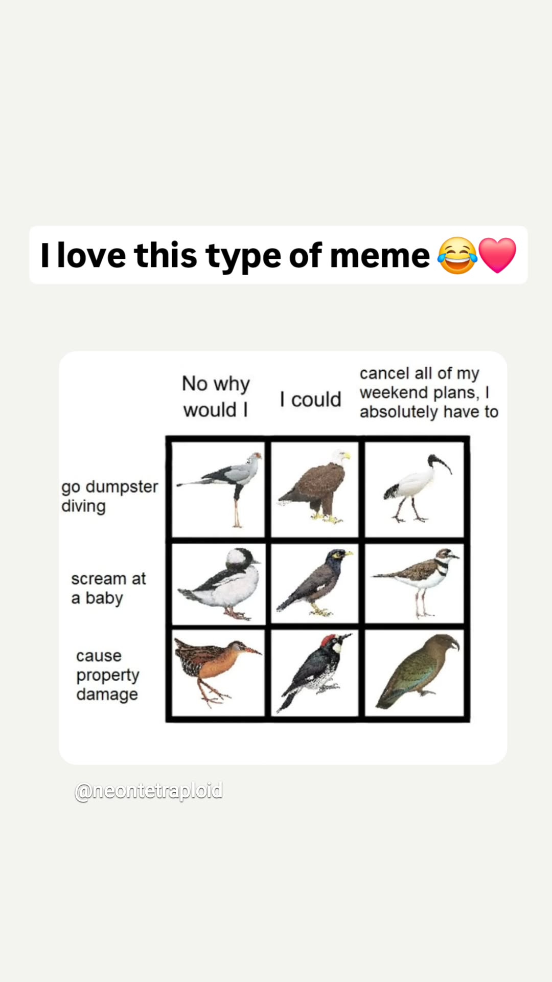 gumihohannya instagram image archive image