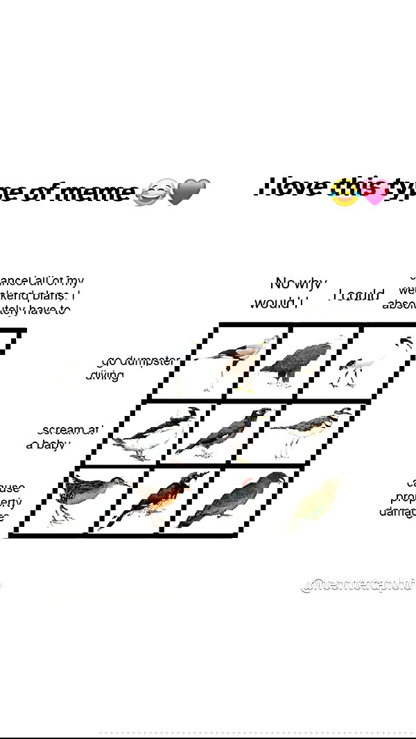 gumihohannya image ~ Altpins