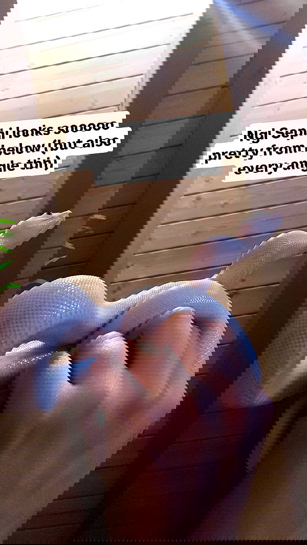 gumihohannya image ~ Altpins