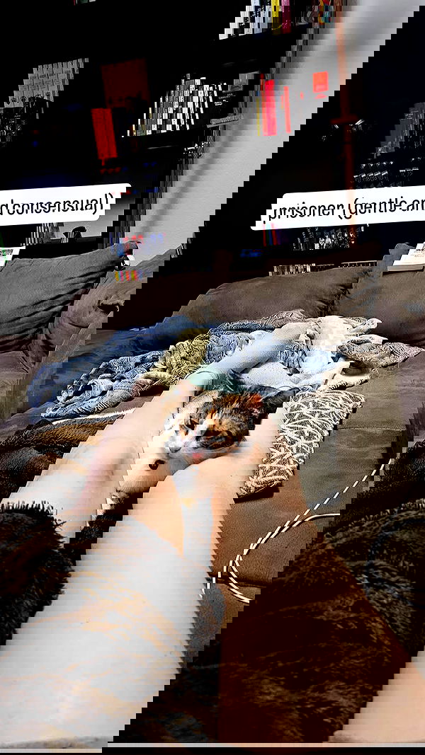 gumihohannya image ~ Altpins