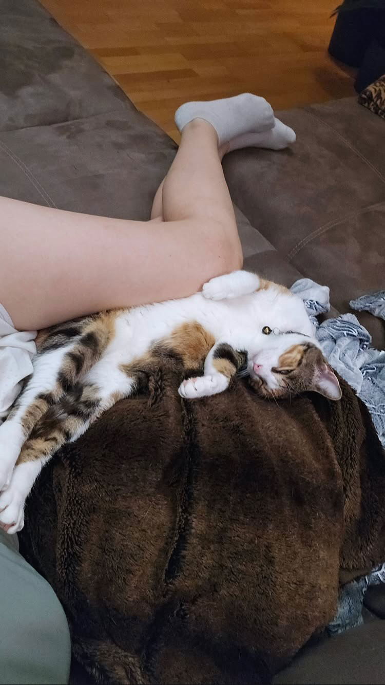 gumihohannya instagram image archive image