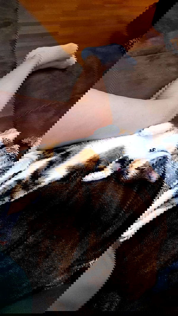 gumihohannya image ~ Altpins