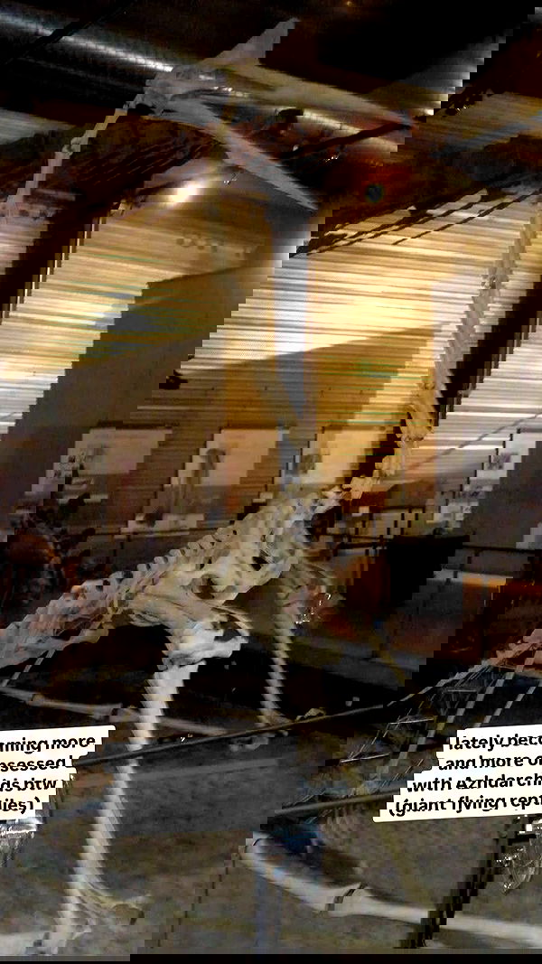 gumihohannya image ~ Altpins