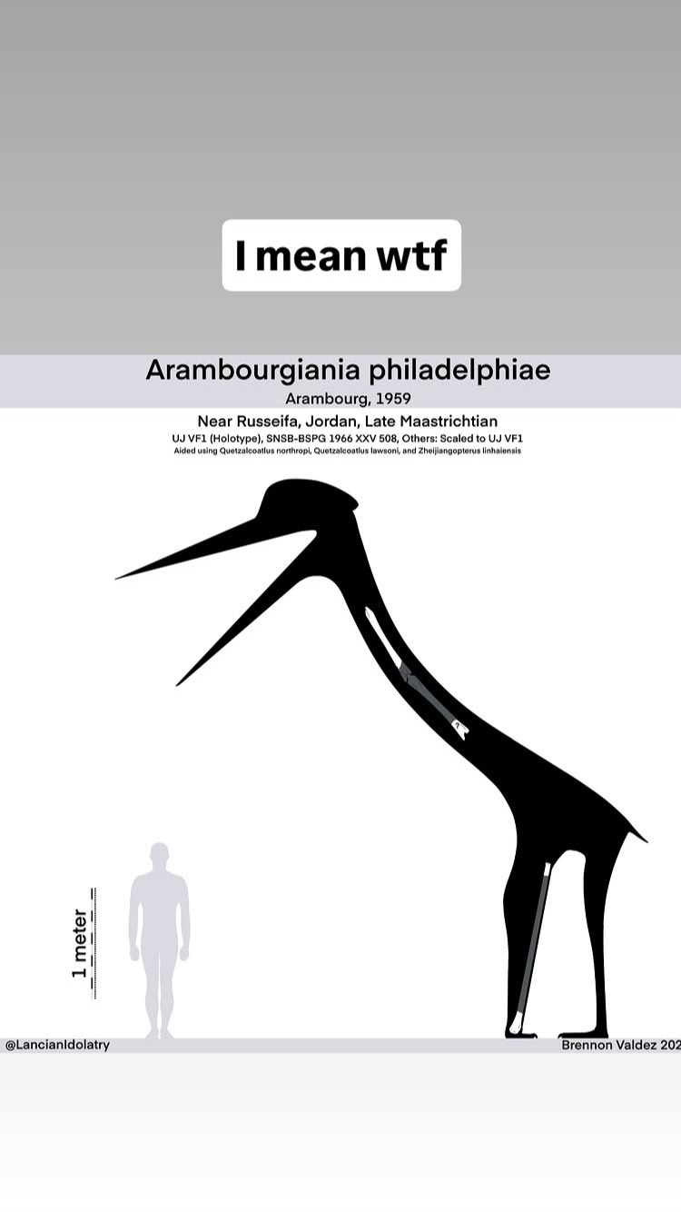 gumihohannya instagram image archive image