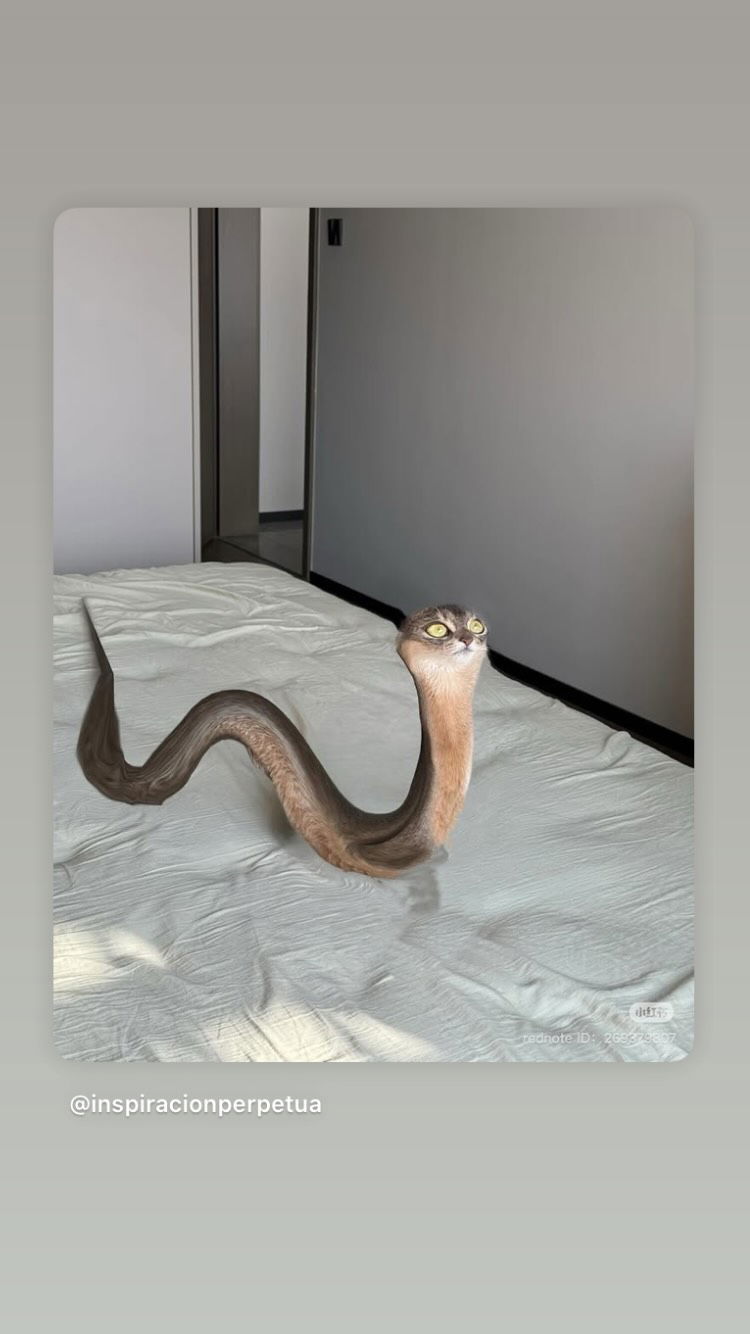 gumihohannya instagram image archive image