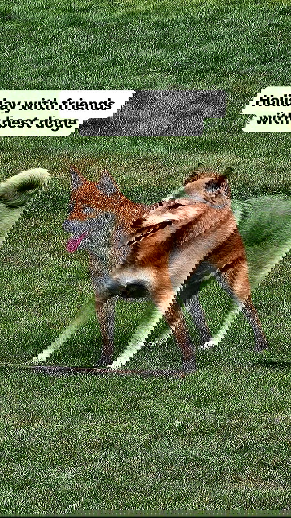 gumihohannya image ~ Altpins