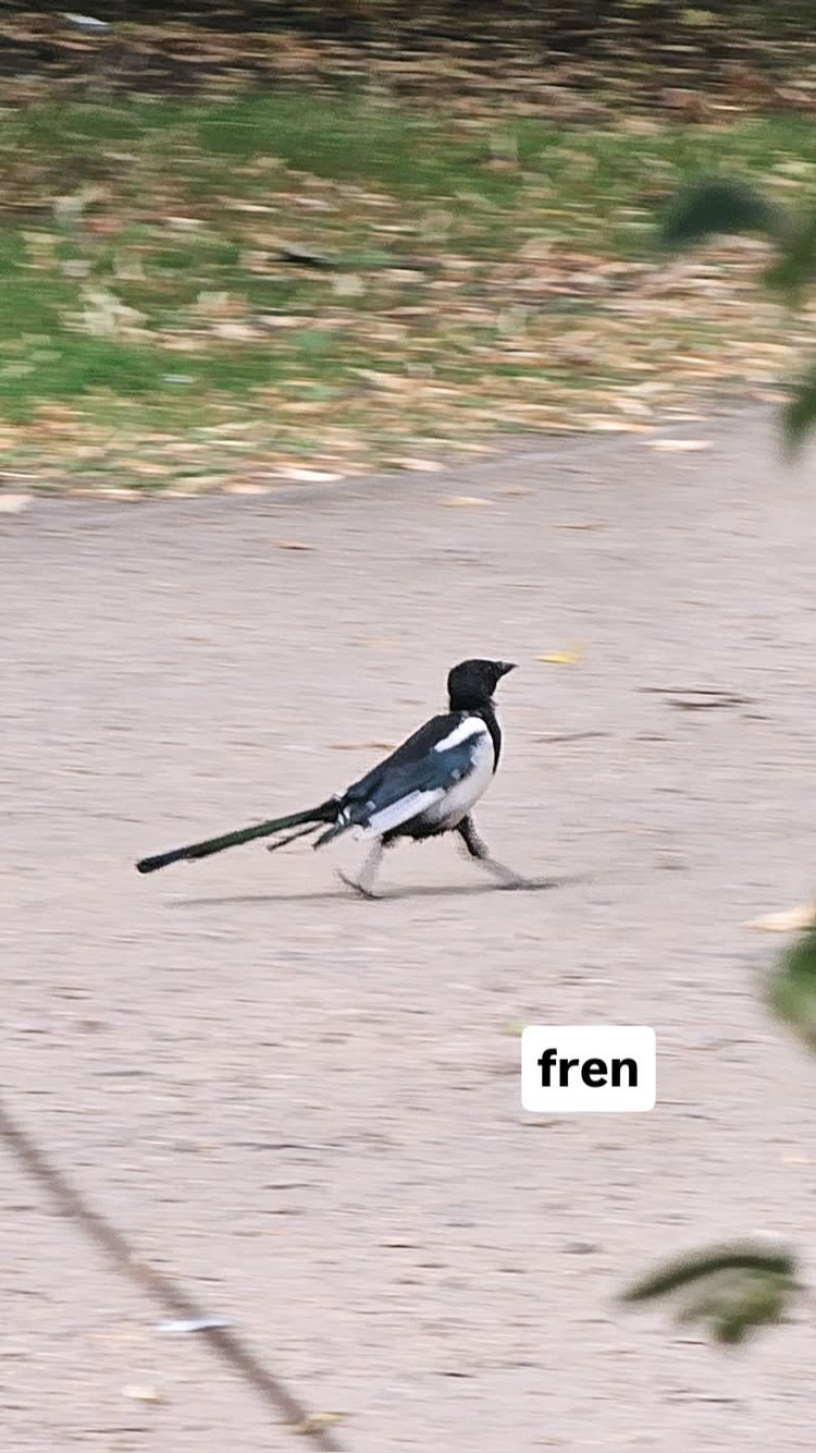 gumihohannya instagram image archive image