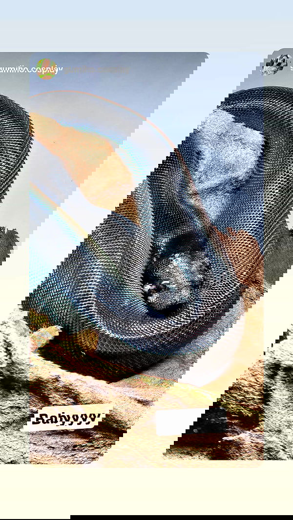 gumihohannya image ~ Altpins