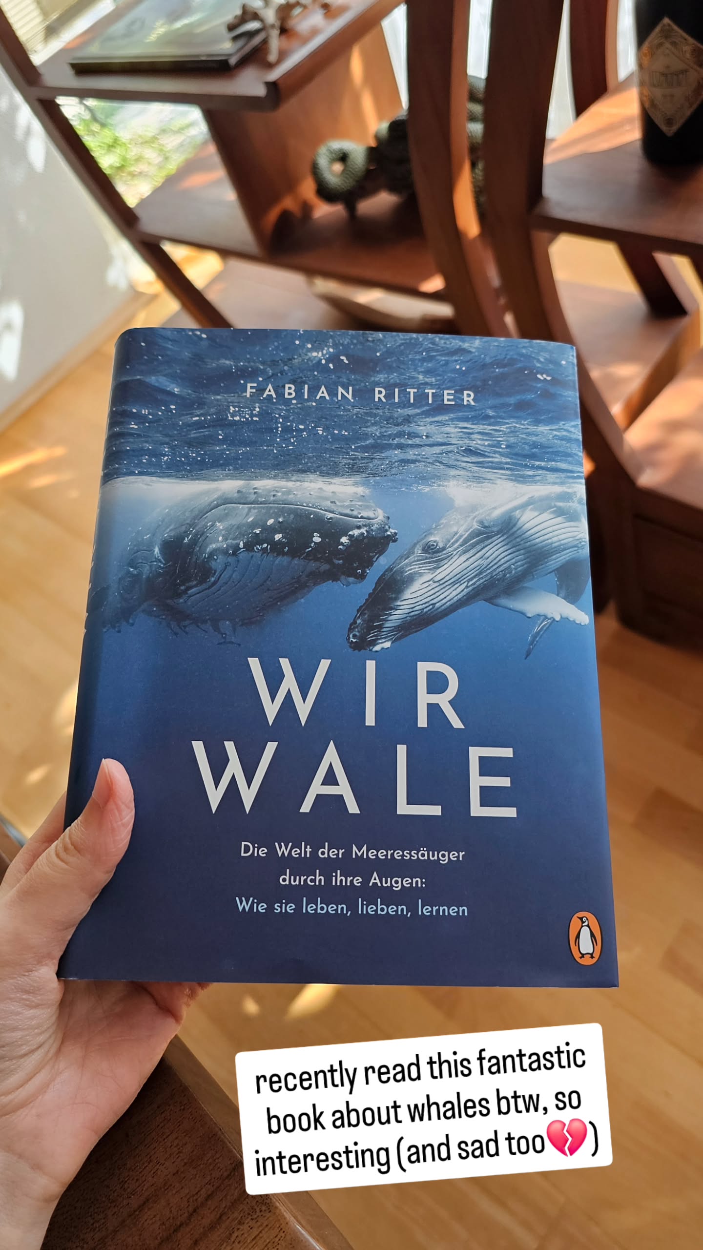 gumihohannya instagram image archive image