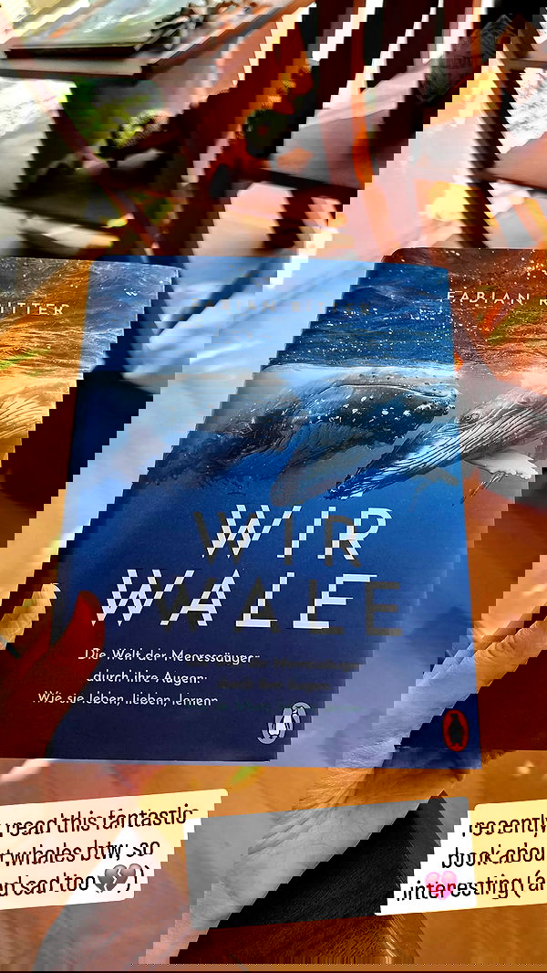 gumihohannya image ~ Altpins