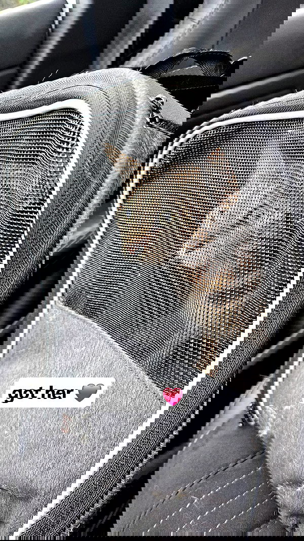 gumihohannya image ~ Altpins