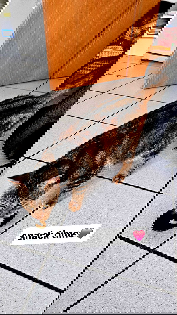 gumihohannya image ~ Altpins