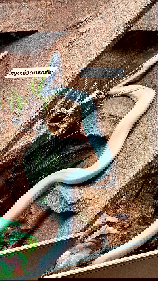 gumihohannya image ~ Altpins