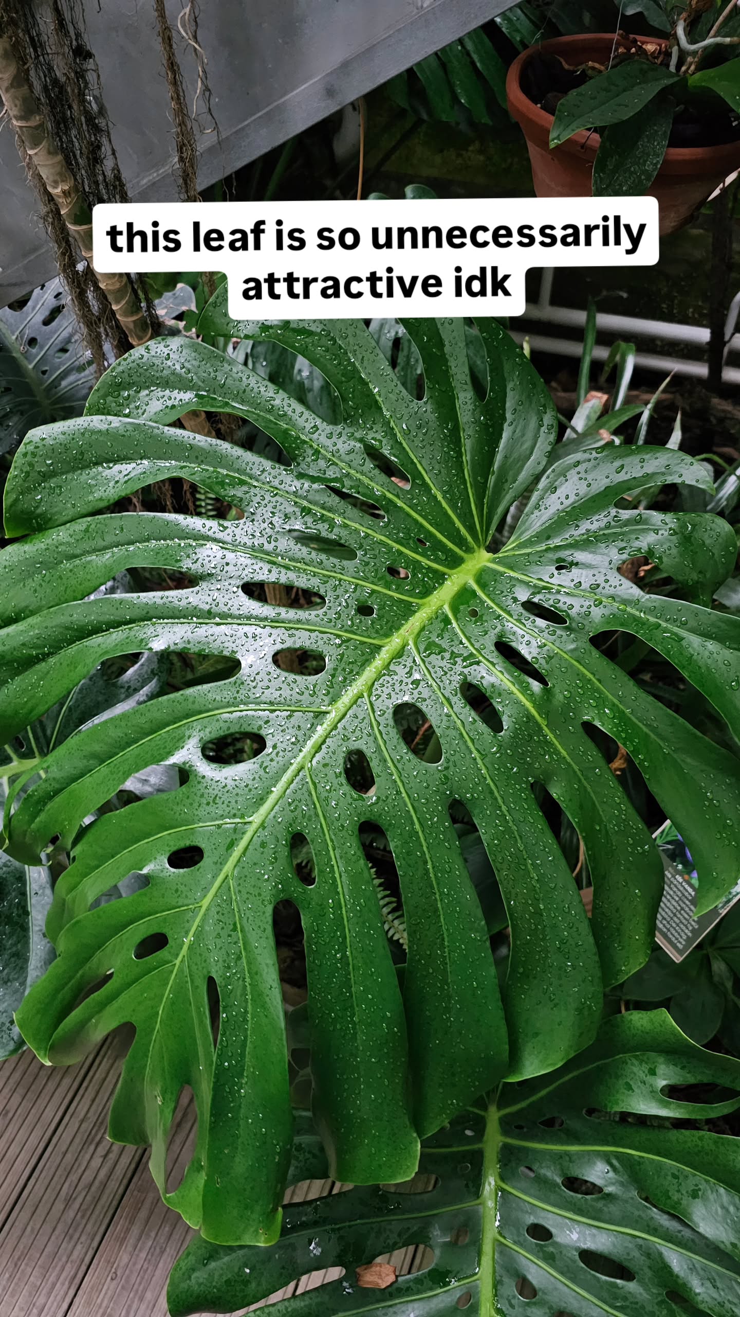 gumihohannya instagram image archive image