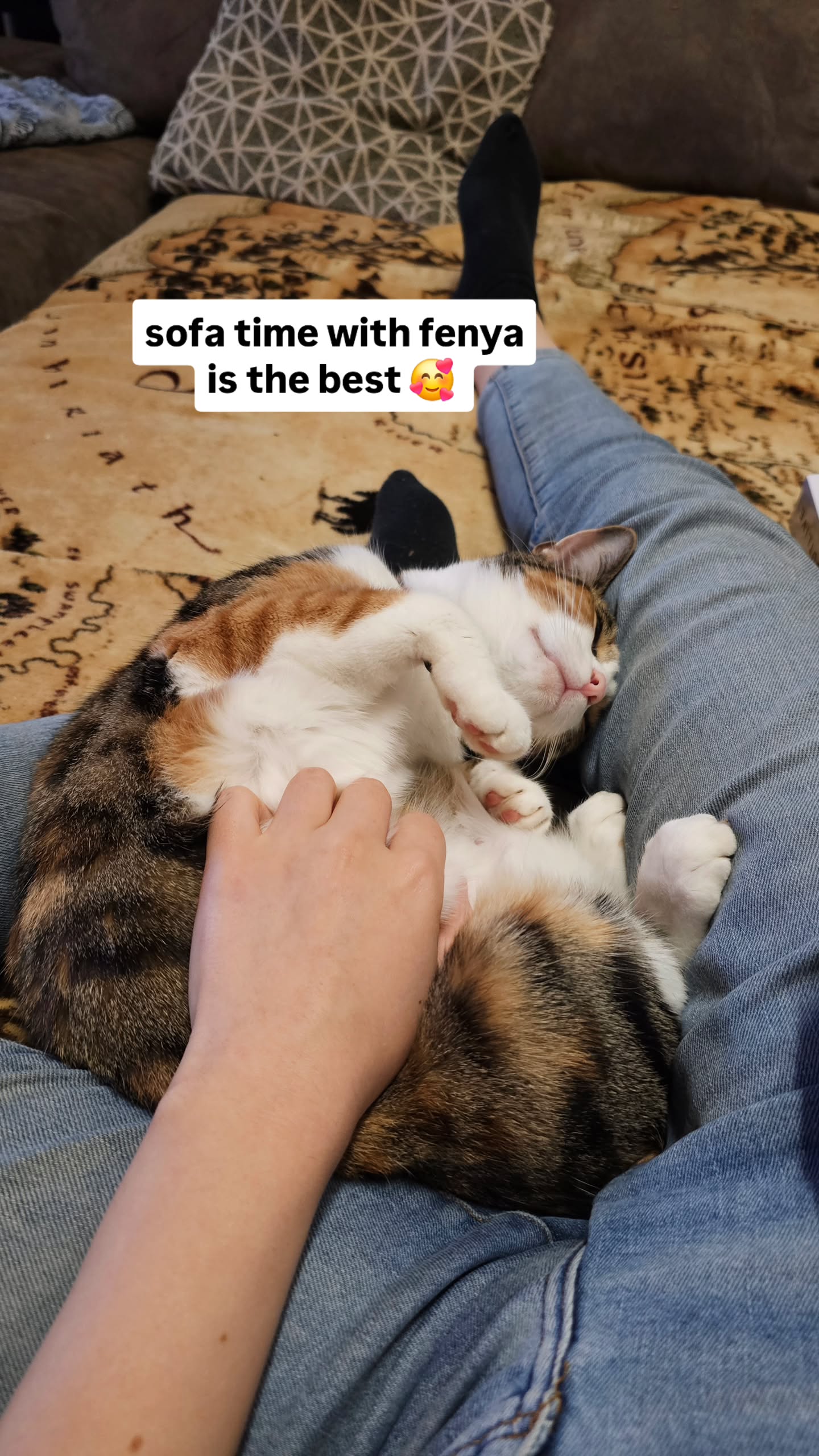 gumihohannya instagram image archive image