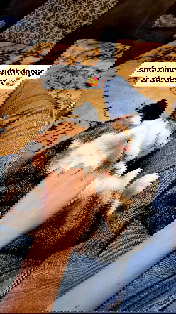 gumihohannya image ~ Altpins