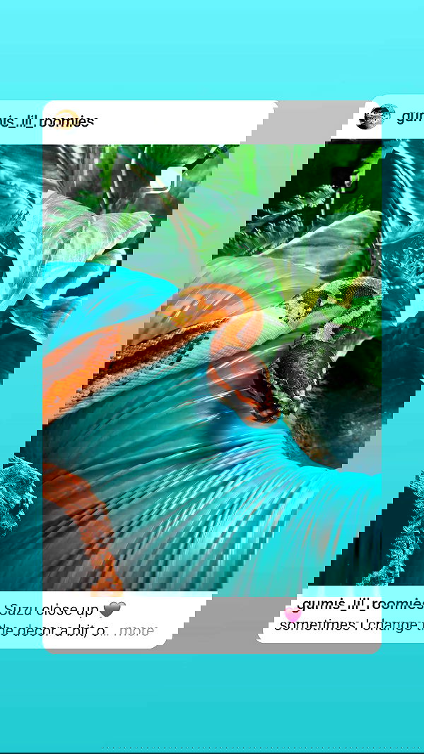 gumihohannya image ~ Altpins