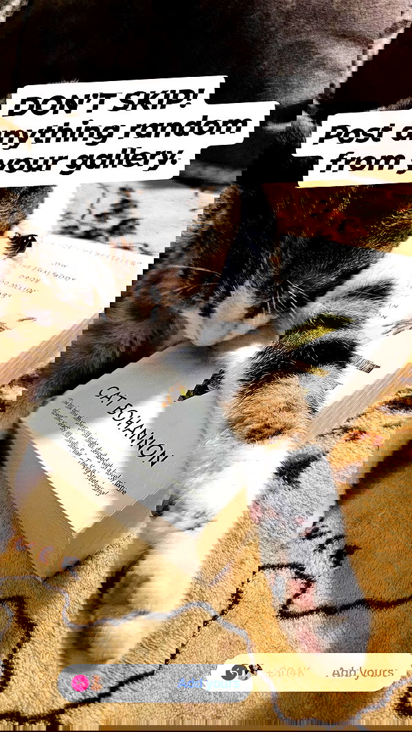 gumihohannya image ~ Altpins