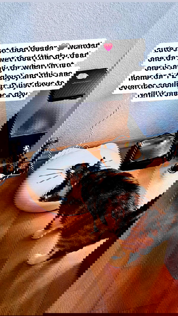 gumihohannya image ~ Altpins