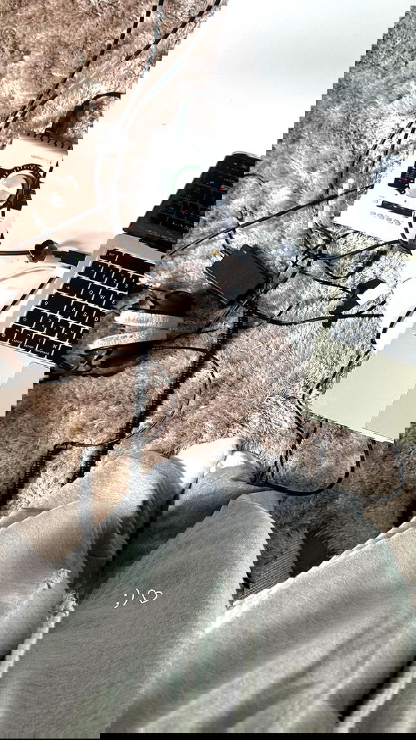 gwendolynceline image ~ Altpins