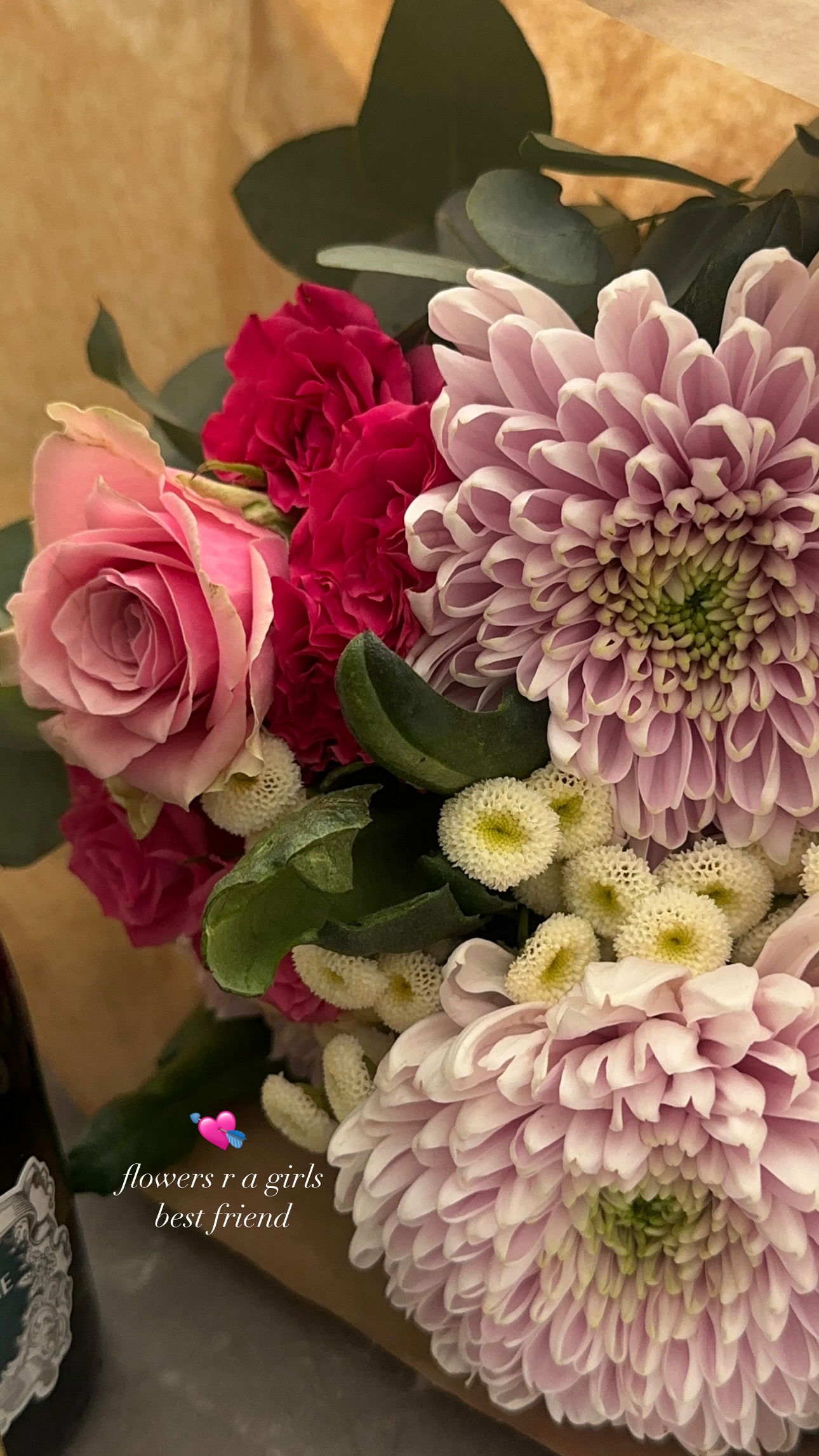 gwendolynceline instagram image archive image