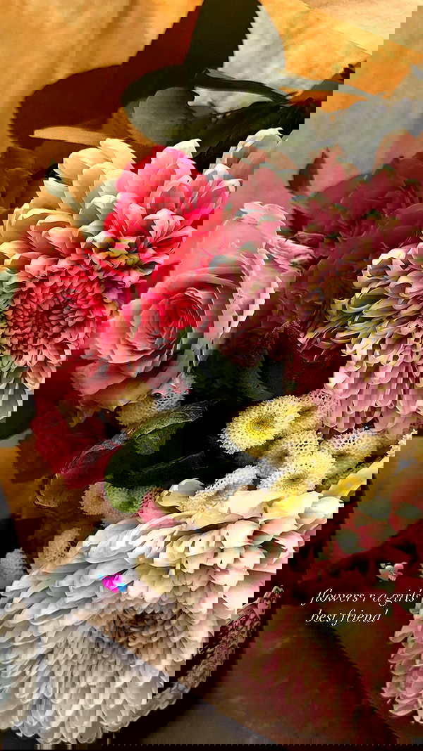 gwendolynceline image ~ Altpins