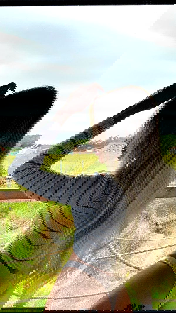 gwendolynceline image ~ Altpins