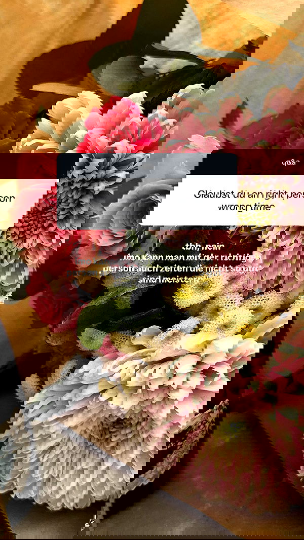 gwendolynceline image ~ Altpins