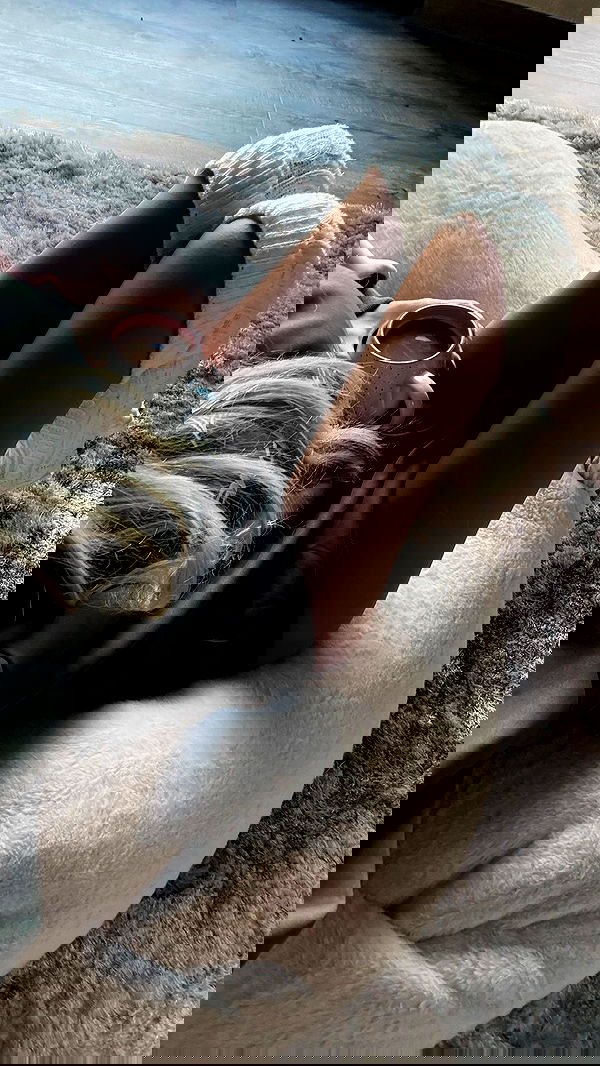 gwendolynceline image ~ Altpins