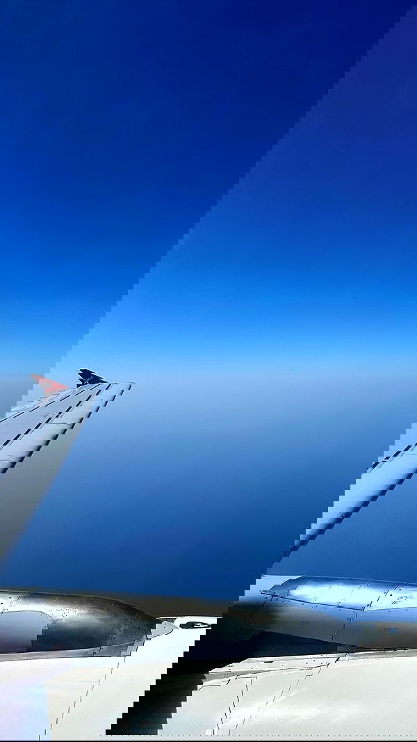 gwendolynceline image ~ Altpins