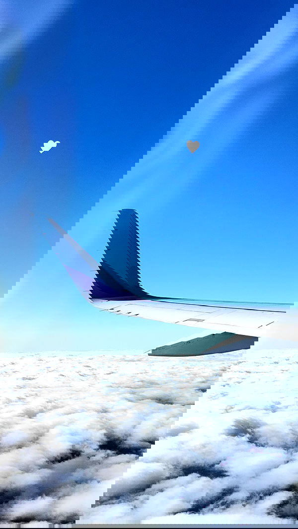 gwendolynceline image ~ Altpins