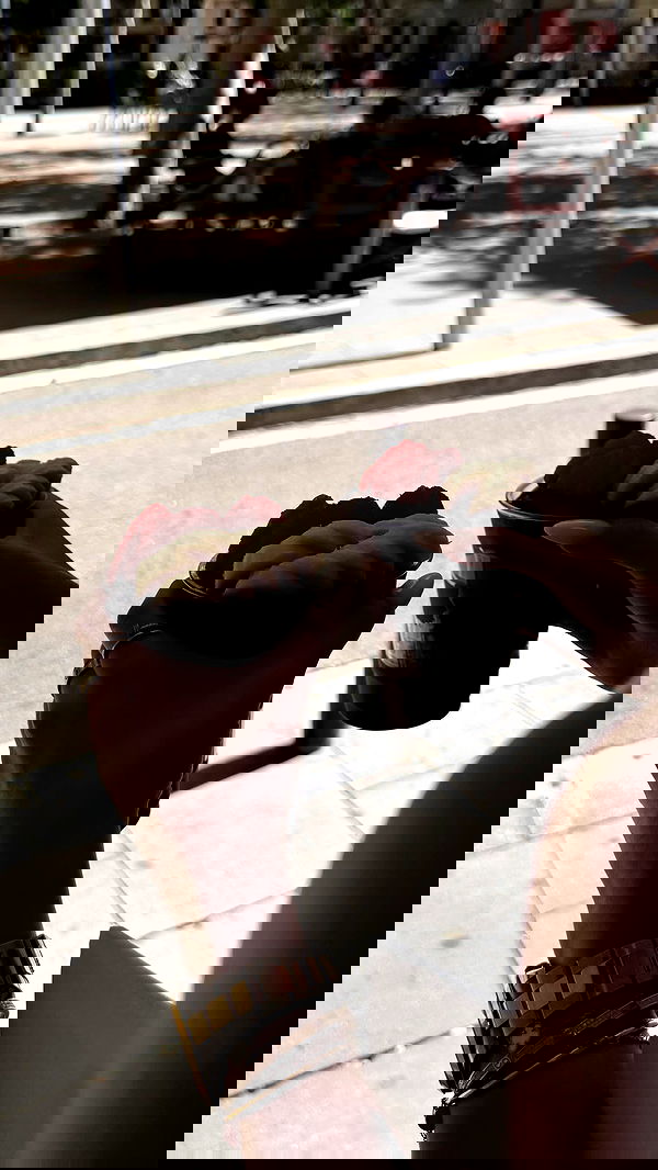 gwendolynceline image ~ Altpins