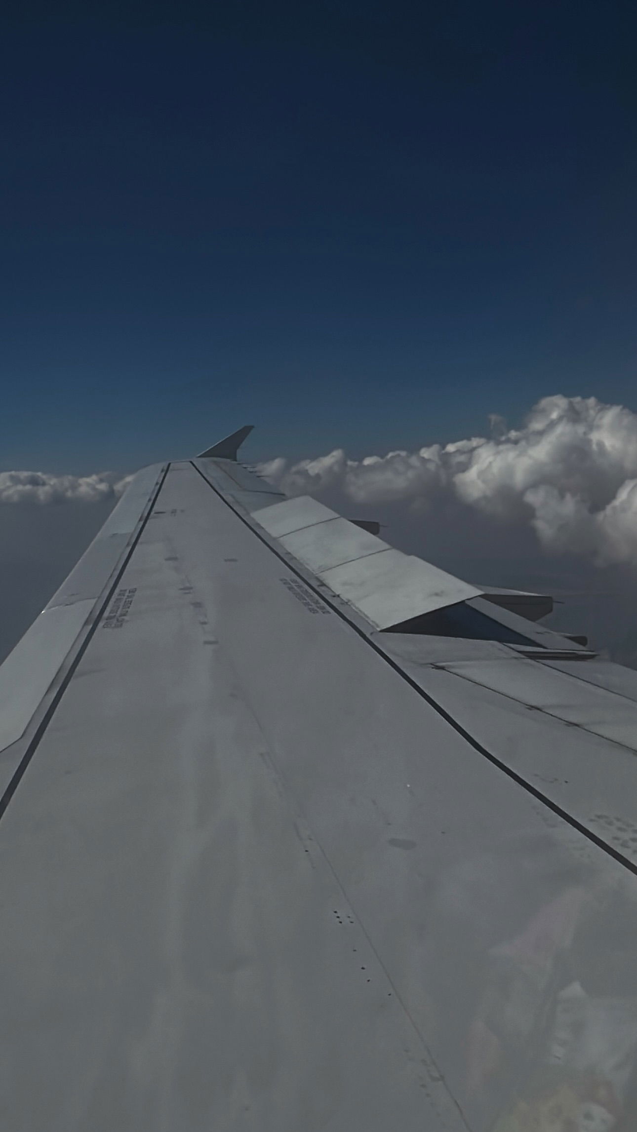 gwendolynceline instagram image archive image