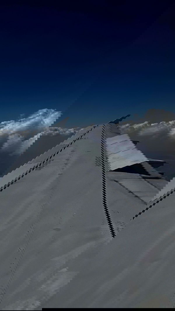 gwendolynceline image ~ Altpins