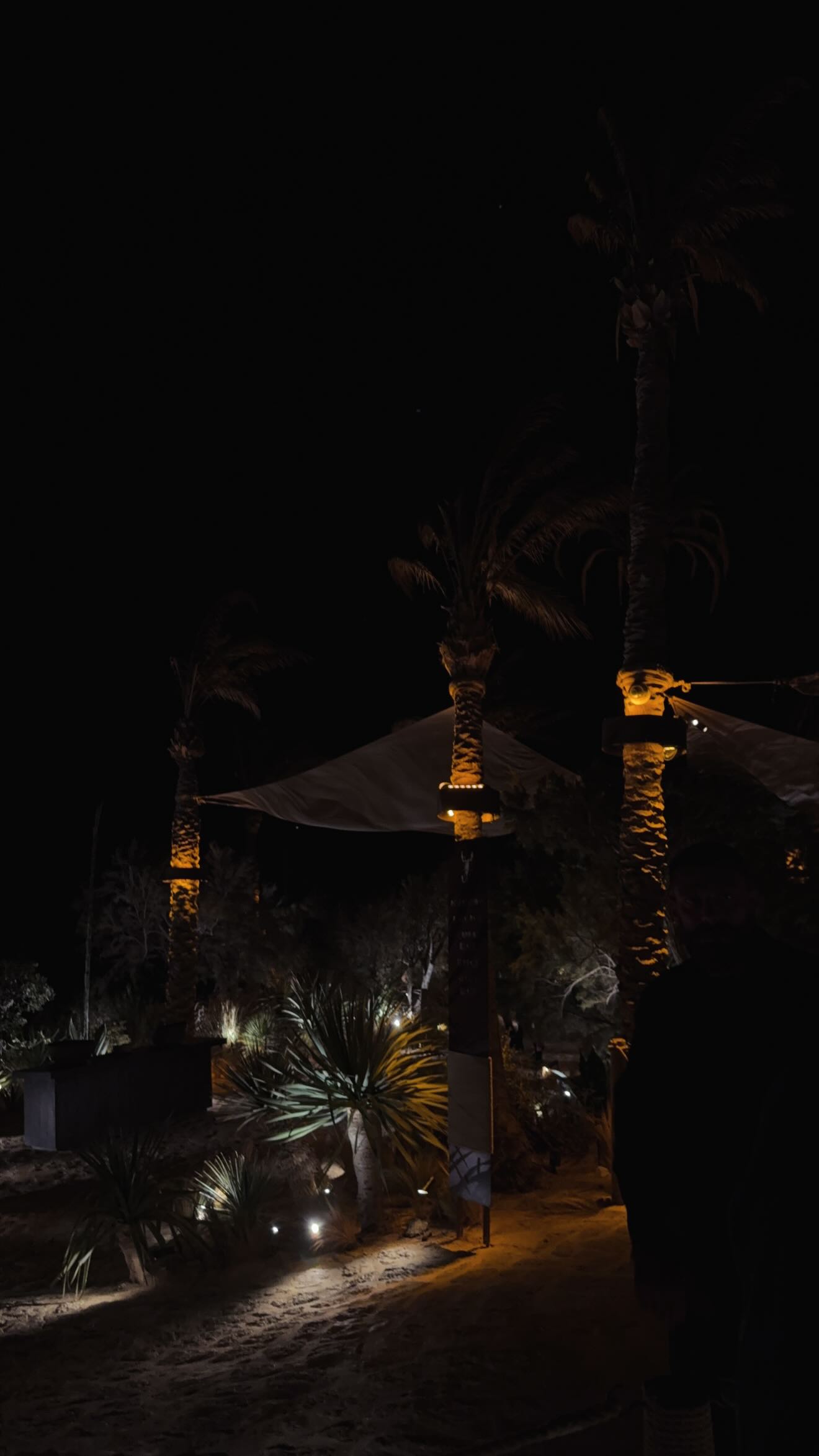 gwendolynceline instagram image archive image