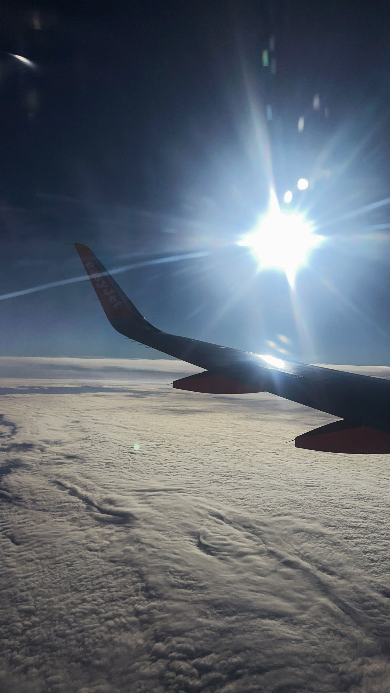 gwendolynceline instagram image archive image