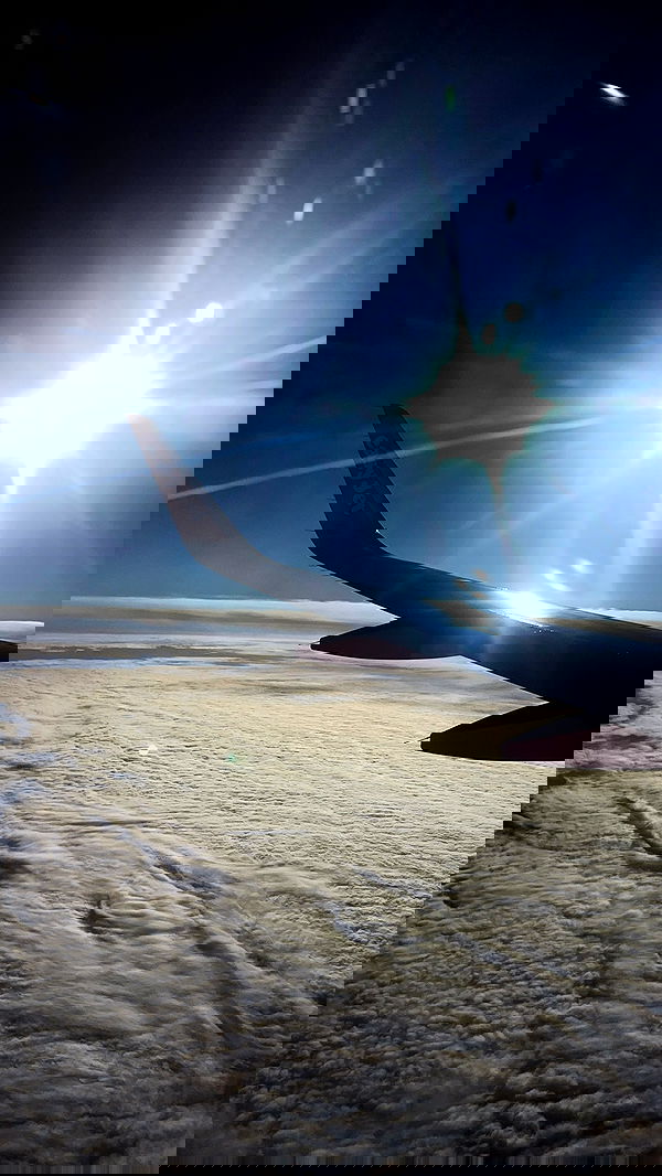 gwendolynceline image ~ Altpins