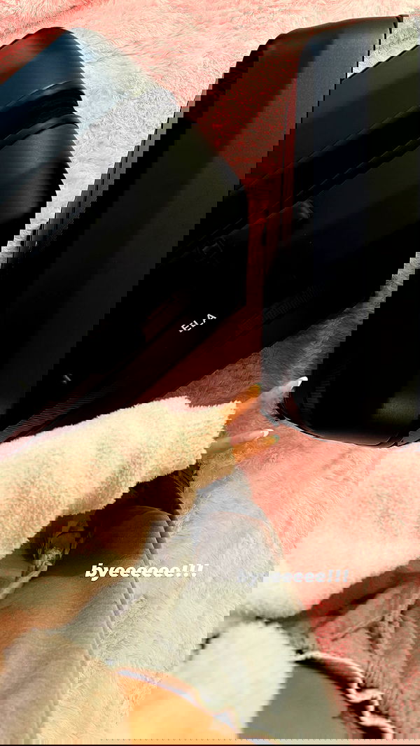 gwendolynceline image ~ Altpins