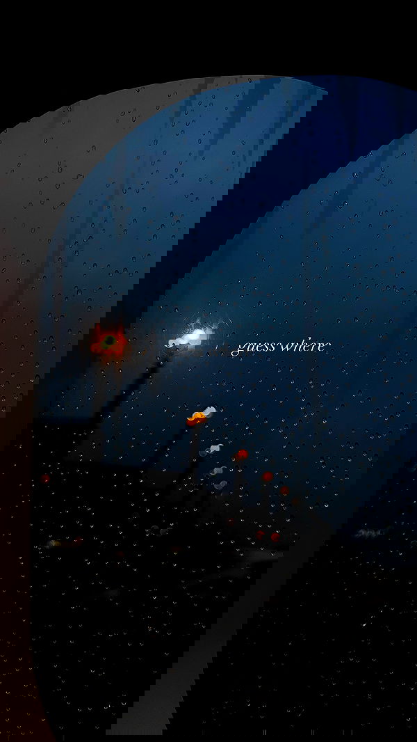 gwendolynceline image ~ Altpins