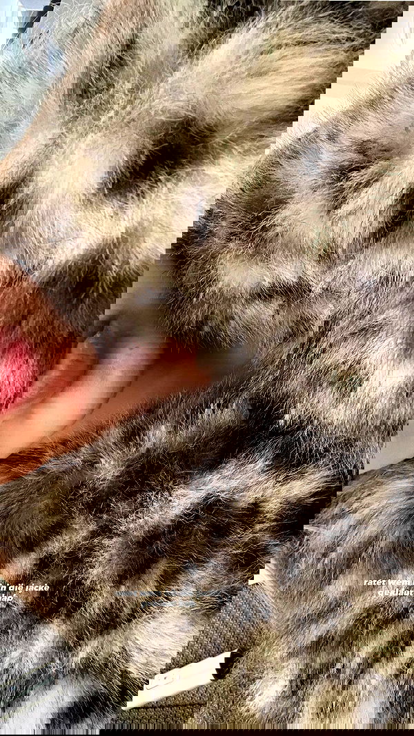 gwendolynceline image ~ Altpins