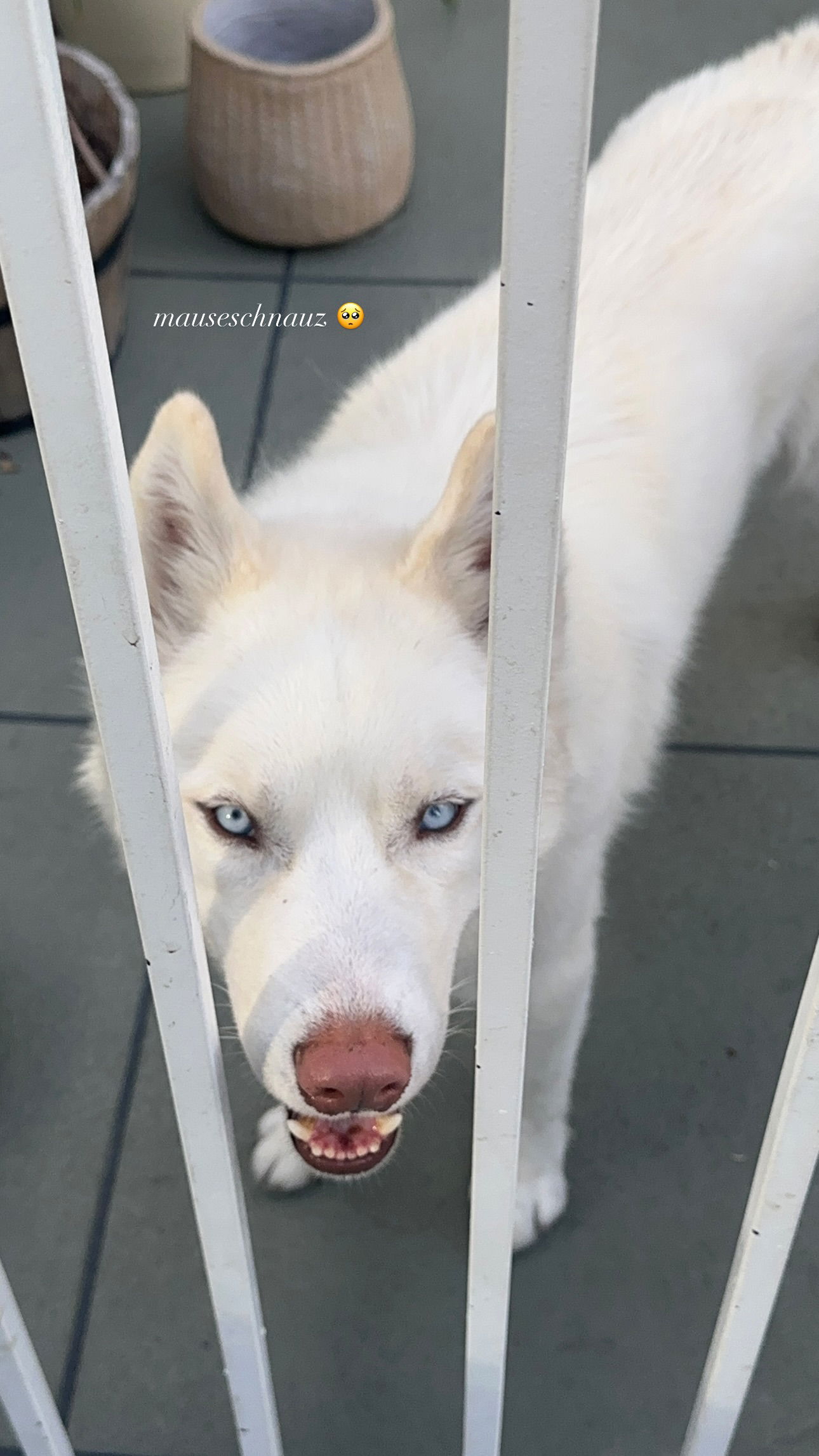 gwendolynceline instagram image archive image