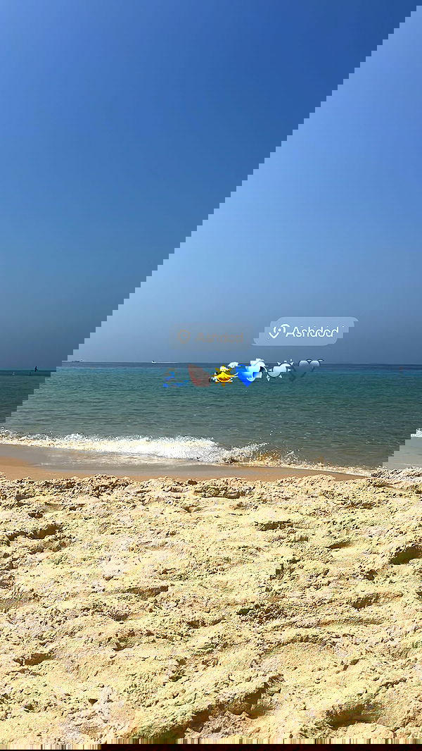 hadar.cha hadar.cha archive image