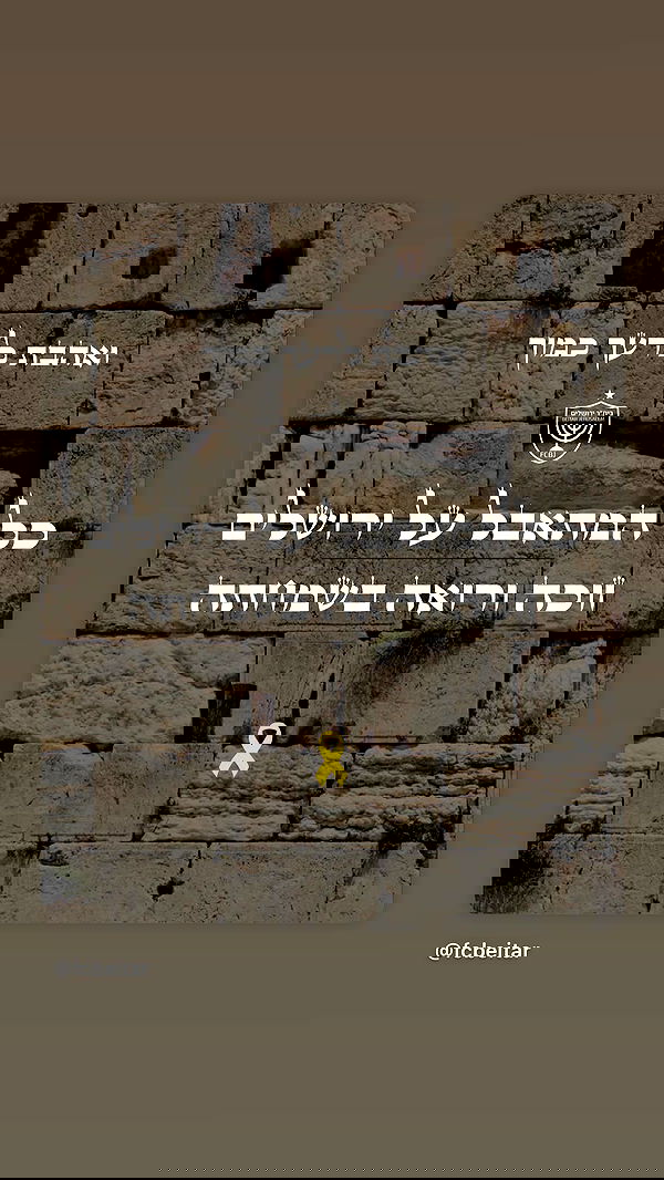 hadar.cha hadar.cha archive image