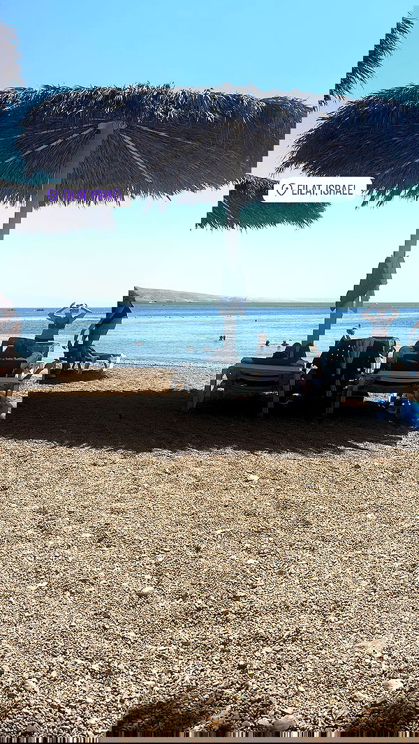 hadar.cha hadar.cha archive image