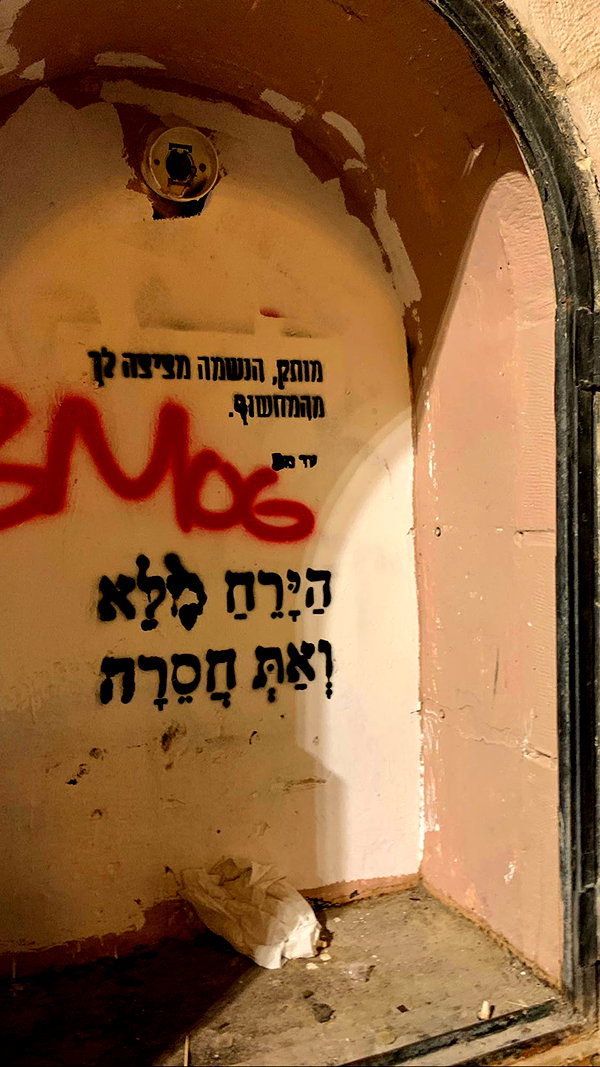 hadas_mayer_ hadas_mayer_ archive image