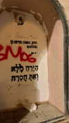 hadas_mayer_ Altpins Profile Picture